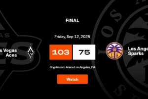 王牌大勝火花 以16連勝結(jié)束本賽季常規(guī)賽征程！