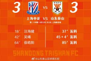 雖然我們沒有在上海帶走勝利，但是充分展示了什么是泰山隊精神！