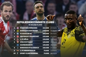 德國俱樂部注冊(cè)會(huì)員數(shù)量榜：拜仁41萬居首，多特、沙爾克二三位