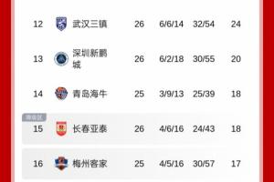 地獄難度！積分榜：新鵬城僅領(lǐng)先降級(jí)區(qū)2分，將戰(zhàn)國(guó)安+申花+蓉城