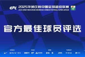 中超第24輪最佳球員候選：瓦科、劉若釩、哈達(dá)斯、鐘義浩、茹子楠