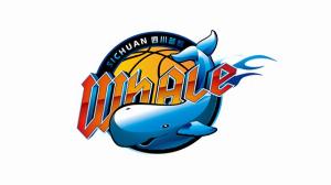 媒體人：全運會過后 四川女籃投資人大概率放棄接手四川男籃