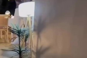 享受賽季前假期??詹姆斯現(xiàn)身希臘科孚島度假，還與當(dāng)?shù)厍蛎院嫌? >
                                        </div>
                                    </div>
                                                                        <div   id=