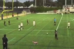 有你爹風(fēng)范！梅西三兒子任意球直接破門(mén)